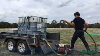Recirculating Molafos in IBC's