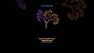 The Fractal Tree: seven rules, a trunk and three branches