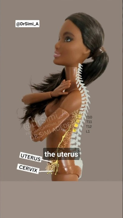 🩸 Sakit Punggung, Selangkangan, dan Paha Saat Haid? Bisa Jadi Nyeri Rujukan!