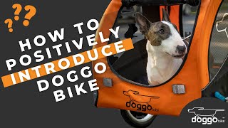 The best 20+ how can i make a bike trailer dog friendly