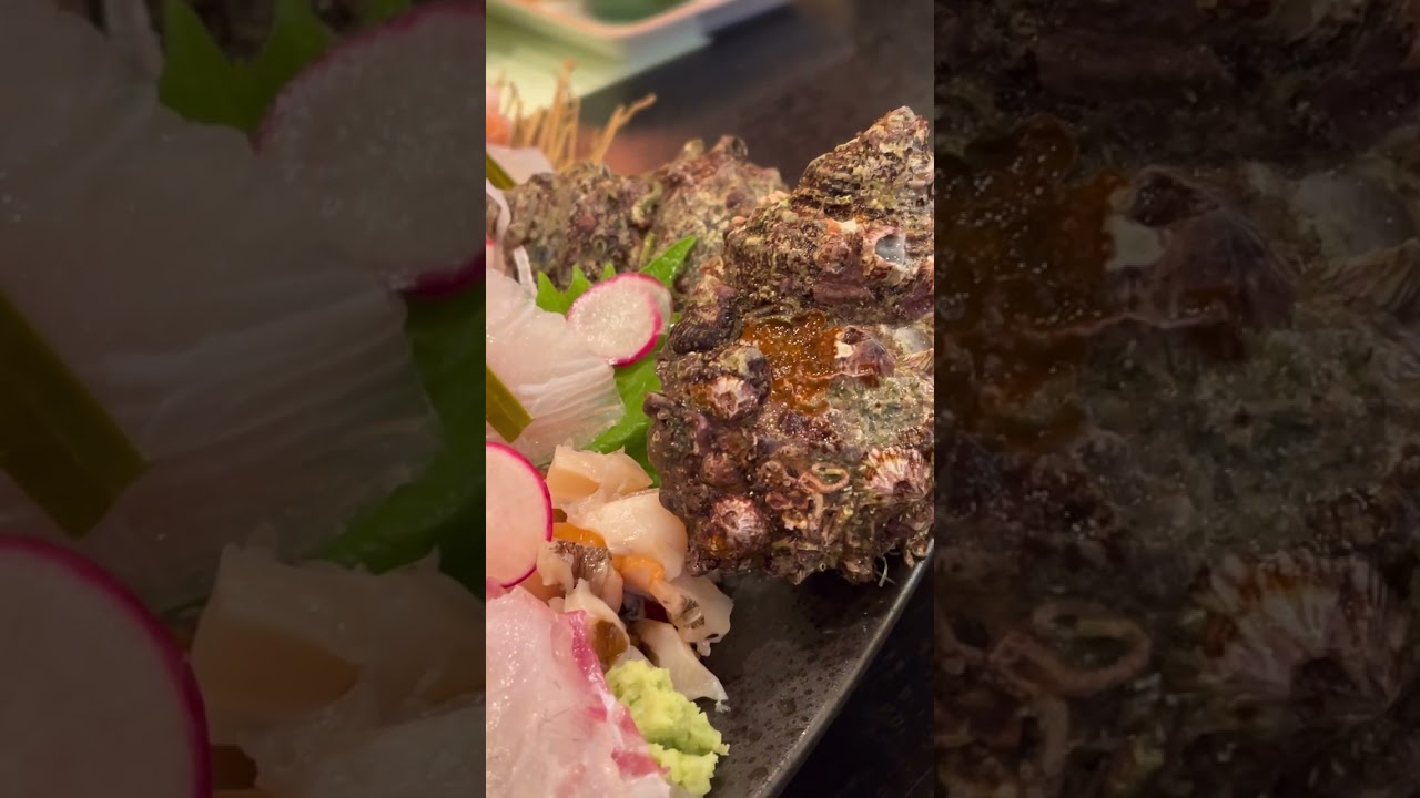 Asmr Mukbang | Let’s Eat Sashimi And Raw Fish
