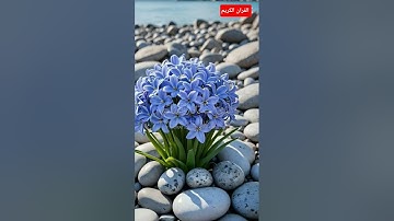 وقالوا الحمدلله الذي اذهب عنا الحزن \ سورة فاطر / الشيخ هادي آل عسكر #القرآن_الكريم #quran