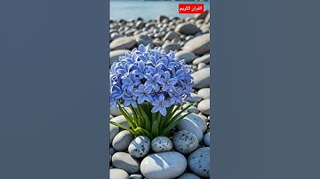 وقالوا الحمدلله الذي اذهب عنا الحزن \ سورة فاطر / الشيخ هادي آل عسكر #القرآن_الكريم #quran