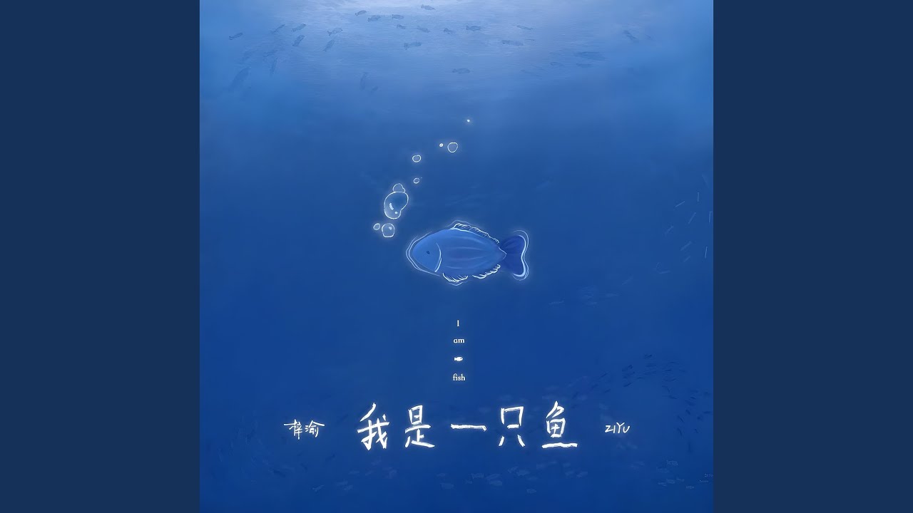 我是一只鱼