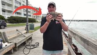 Bottom Fishing 2nd Street - FREE Fishing Area - Ocean City MD #tautog #fishing #fishingvideo