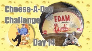 Day 14 Aldi Edam Cheese-A-Day Challenge