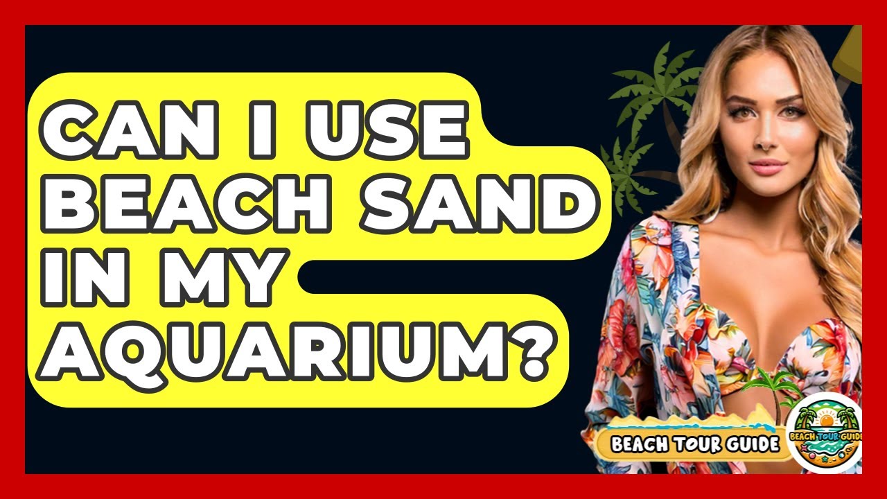 Can I Use Beach Sand In My Aquarium? - Beach Tour Guide