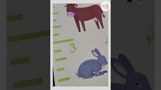Farm Animals Barnyard Colorful Canvas Growth Chart