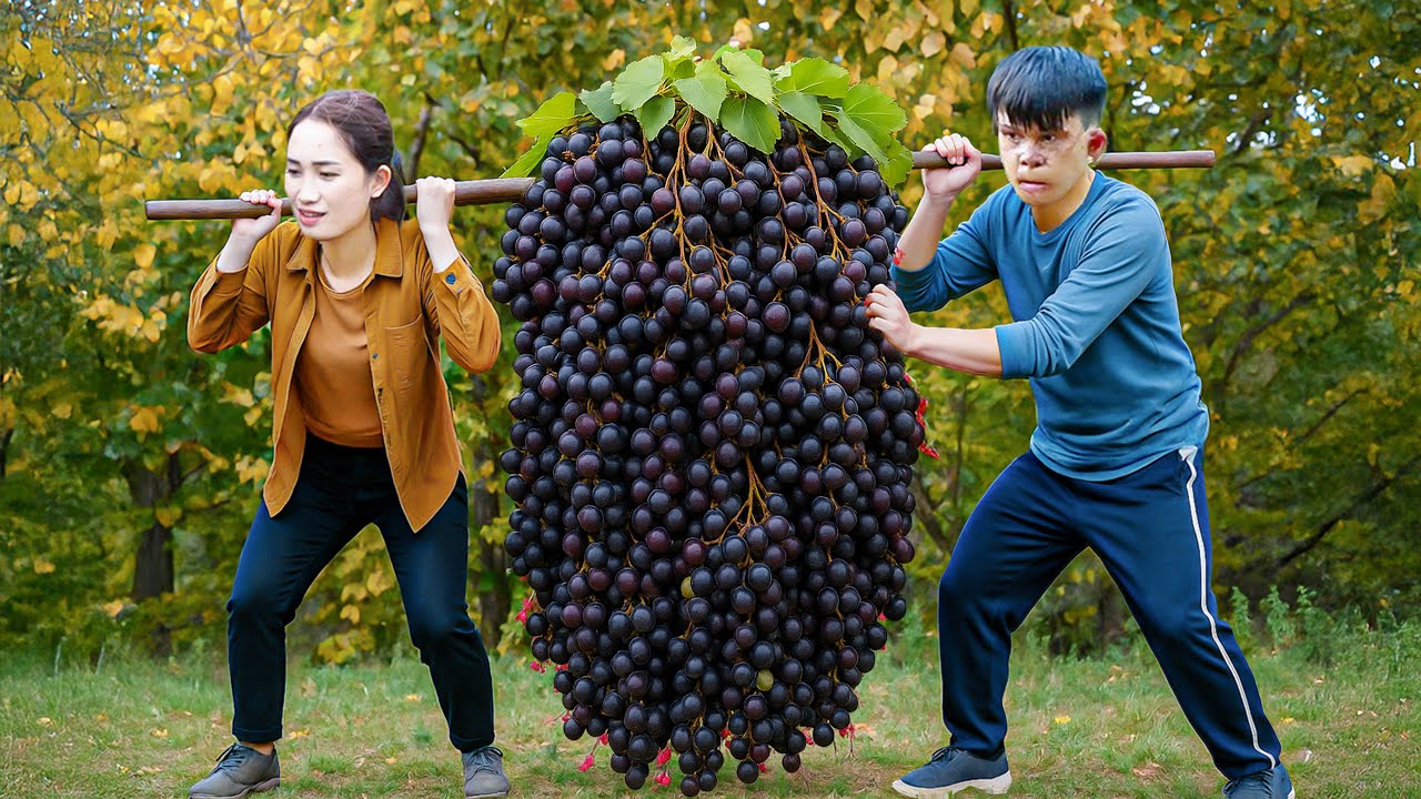 Harvesting Giant Wild Grapes by Stream, Peeling & Seed | Brewing Fine Wine from Nature