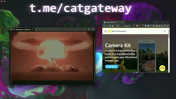 CAT C2 VS DEVELOPER SNAP | BEST C2 2025 |