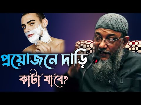 ভিডিও: লিঙ্কন কেন দাড়ি গ্রেস বেডেল পরতেন?