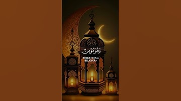 تلاوة تفتح لك أبواب الراحة النفسية – من القرآن الكريم#تلاوة_تبث_الطمأنينة🌿#آيات_تلامس_القلوب🌿