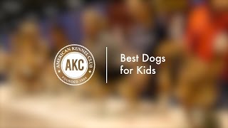 Best dogs for kids