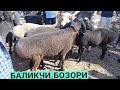 АНДИЖОН БАЛИКЧИ КУЙ БОЗОРИ НАРХЛАРИ 2021 ANDIJON BALIQCHI QÒY BOZORI NARXLARI 2021 ХСОРИ  КУЙЛАРИ