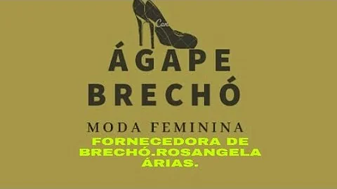 RECEBIDOS DE BRECH, ROSANGELA ARIAS LAPA( SO PAULO)