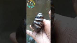 Gandaki river shaligram shila ?? shorts short shortsfeed