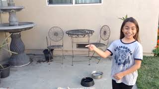 Dont Choose The Wrong Answer Challenge