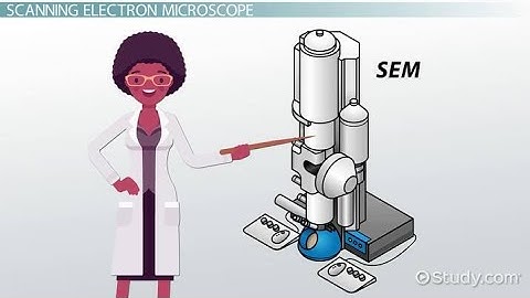 From Sample to Data: Comprehensive SEM Analysis Workflow