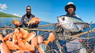 💥 Epic Day at Sea! Deep Water Snapper Haul +Tuna While Trolling! 🐟🔥