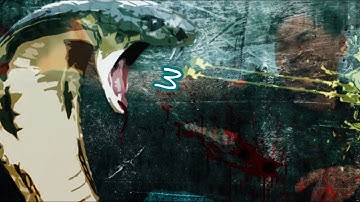 THE SNAKE KUNG FU STRIKE AND KICK / SANKE KUNG FU TUTORIAL / 蛇拳第三课