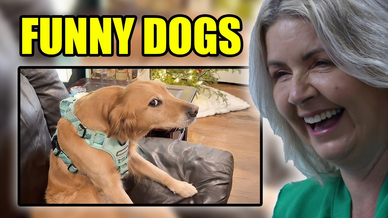 BRITS React to Dogs Being DRAMATIC for No Reason