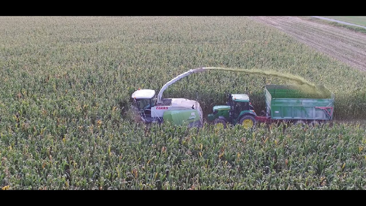 Big Corn Silage  | Siláže 2017 | ZEAS Podorlicko Trnov