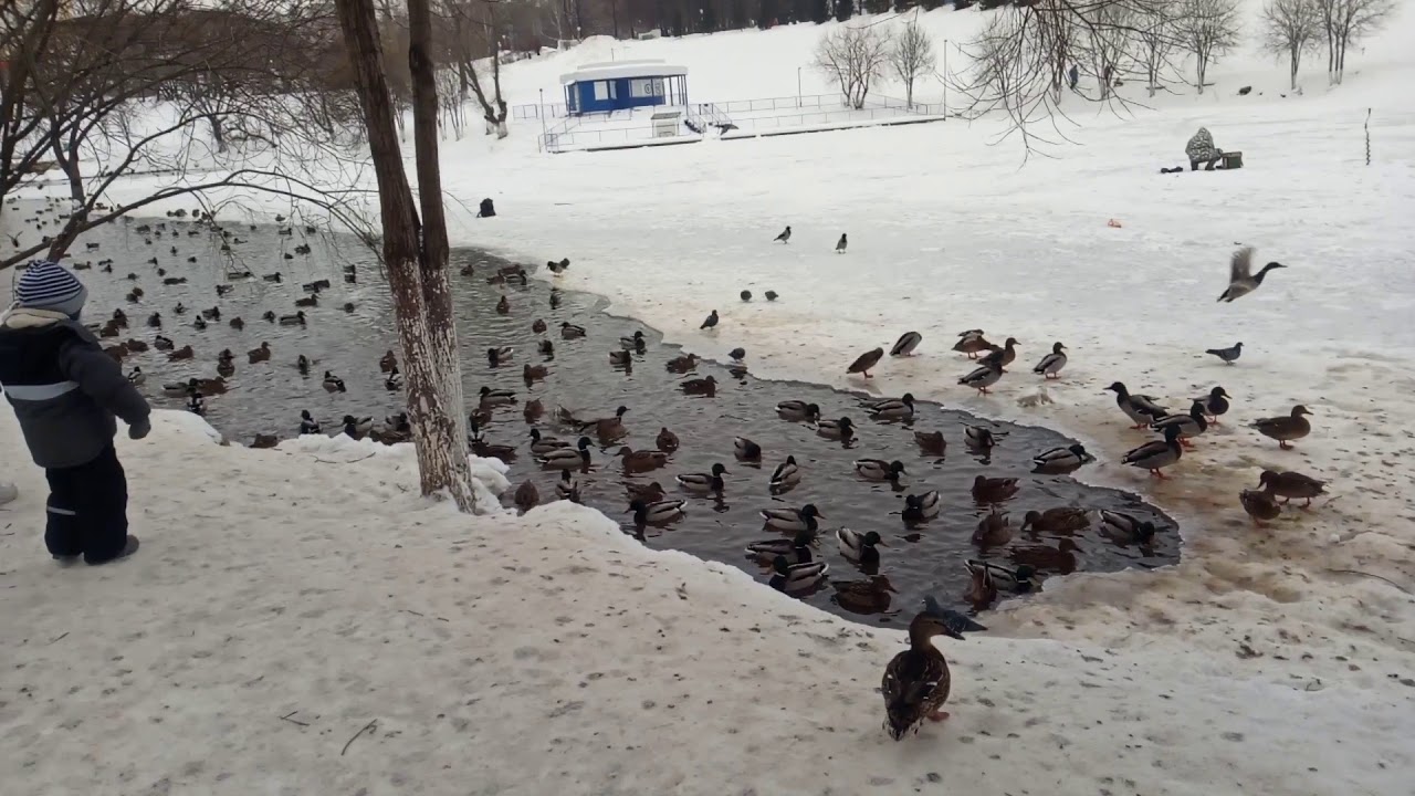 Тестовая съёмка смартфоном DOOGEE Mix 2