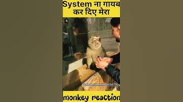 Monkey reaction to magic || funniest reaction on magic || #shorts #shortvideo #monkeydubbing