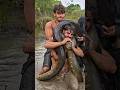 Amazon Jungle ka Daredevil 😱 #facts #shorts