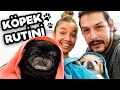 KÖPEKLERLE BİRLİKTE YIKANDIK!  VLOG