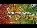 Reggae instrumental - Coconut tree Riddim - Riddim instrumental by Asha D