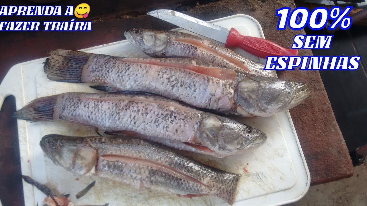 COMO FAZER TRAÍRA SEM ESPINHA, PASSO A PASSO COMO FAZER