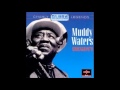 Muddy Waters Everything Gonna Be Alright Live mp3