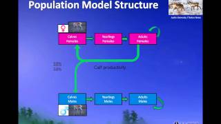 Wildlife Management Principles: Understanding Population Dynamics