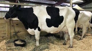 Making It Grow - The 2016 South Carolina State Fair