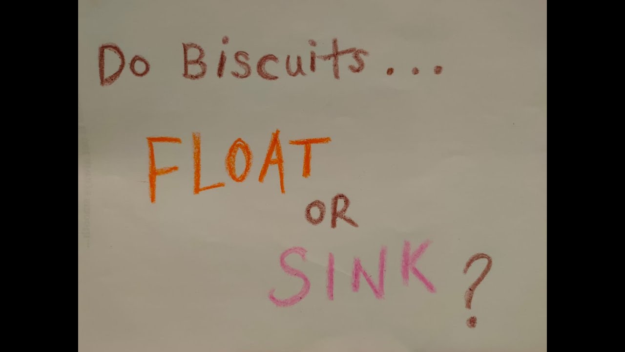 Do biscuits float or sink? | Everyday Science