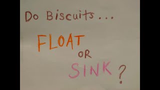 Do biscuits float or sink? | Everyday Science