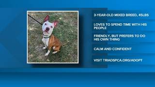 2 the Rescue: Meet Lobster