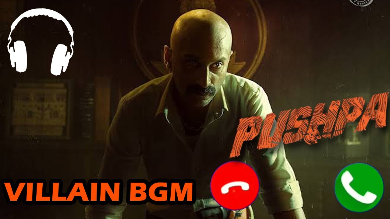 Pushpa Villain BGM | Pushpa