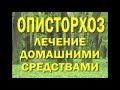 Вся рыба заражена паразитами! Народные методы лечения  описторхоза.