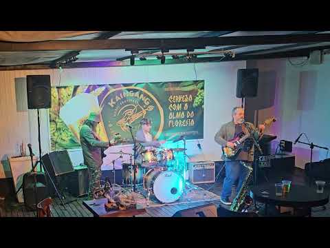 Gere Blues ao vivo