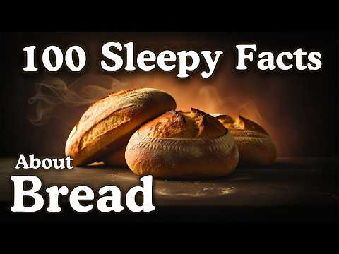 The Most Relaxing Facts About Bread to Fall Asleep To — No Adverts
