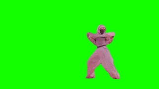Rihanna Halftime Show Backup Dancer Green Screen