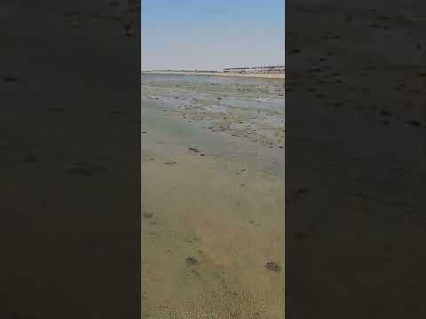 المد و الجزر راس سدر موسي كوست بحر