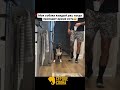 У кого как собаки реагируют, когда хотят кушать?