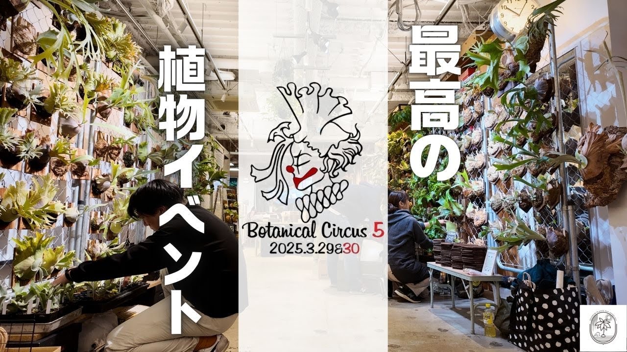 最高の植物イベント「ボタニカルサーカス5」に参戦、イベントレポート