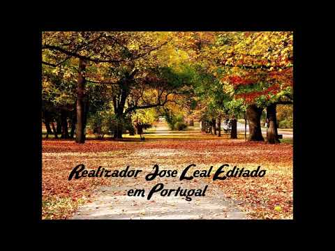 Contos de Amor Declaracao de Amor