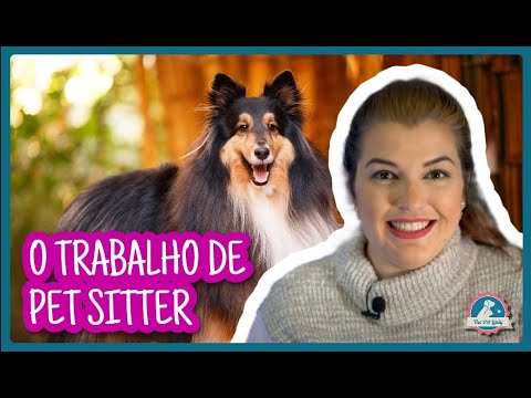 Vídeo: Hospedagem Para Animais De Estimação X Pet Sitter - O Que é Melhor Para O Seu Animal