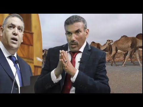 عمر الداودي النيابة العامة لا تتفاعل مع شكايات ضحايا اعتداءات الرعاة الر حل