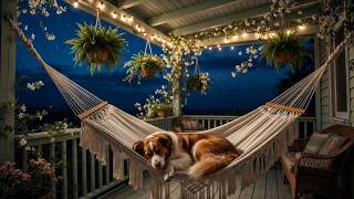 Cozy Summer Night 🌙 Relaxing Piano & Garden Hammock Ambience , Dog Sleep